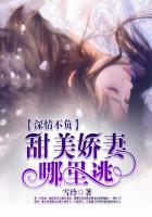 深情不负gl免费阅读