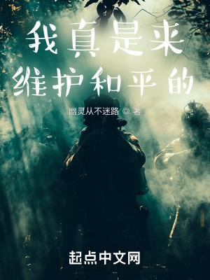 我真是来维护和平的无防盗