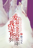 是你最完美的欺诈是什么歌