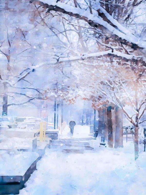 金婚全集免费阅读