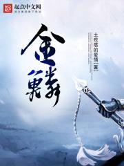 金陵十二钗多少钱一条