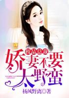 极品娇妻不好追