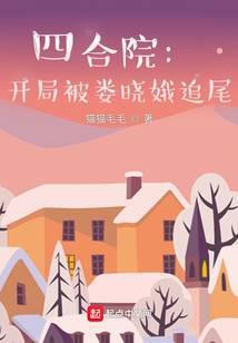 四合院开局被娄晓娥追尾免费阅读