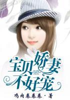 宝贝娇妻惹人爱无弹窗