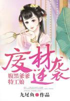 废柴倾狂腹黑娘亲萌宝