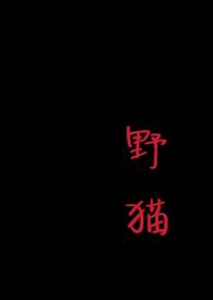 野猫上门的3个预兆