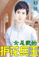 女总裁的超级兵王夜风武