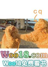 爱情买卖(1v2)作者就想当叁姐夫