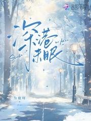 深港未眠全文免费阅读