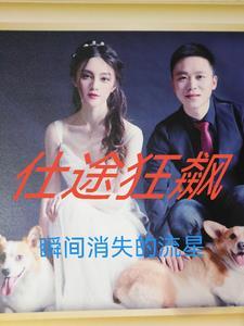 仕途狂飙从小警员开始权力巅峰!