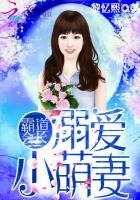 霸道小萌妻免费阅读