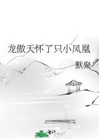 龙傲天怀了只小凤凰免费阅读番外