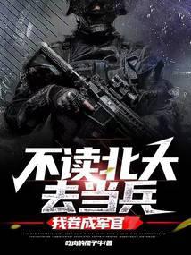 我卷成军官笔趣阁