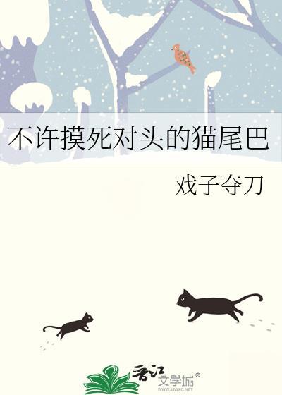 为什么不能摸小猫的尾巴