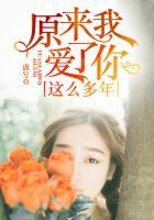 原来我爱了你这么多年歌曲