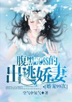 婚宠99次腹黑boss的出逃娇妻