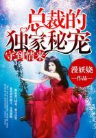 守到情来总裁的二手新妻 文