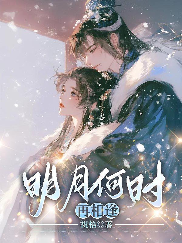 明月何时再相逢大结局