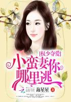 权少夺爱:小蛮妻你哪里逃