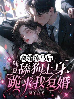 离婚掉马后,陆总舔狗上身跪求我复婚