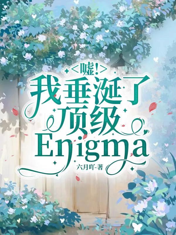 嘘!我垂涎了顶级Enigma