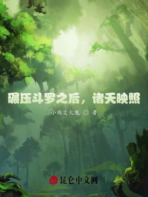 碾压斗罗之后，诸天映照