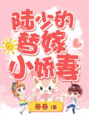 陆少,夫人她又要离婚了