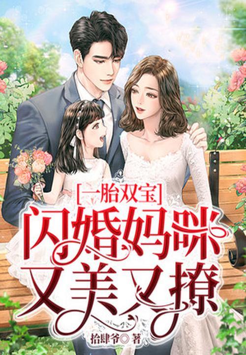 一胎双宝,闪婚妈咪又美又撩
