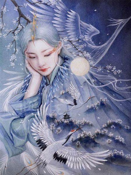 重生后,庶妹和我换了鲛人夫君