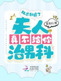 陆总别虐了,夫人真不给你治男科