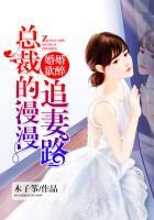 婚婚欲醉:总裁的漫漫追妻路