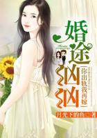 婚途汹汹:你出轨我再嫁