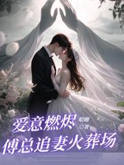 爱意燃尽,傅总追妻火葬场