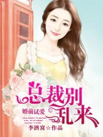 婚前试爱:首席别乱来