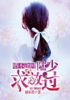 婚不逢时:陆少,求放过