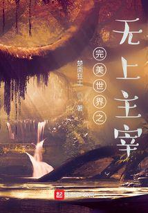 完美世界之无上主宰