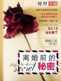 离婚前的秘密:仕途男秘