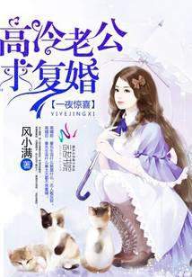 一夜惊喜:首席绝宠娇妻