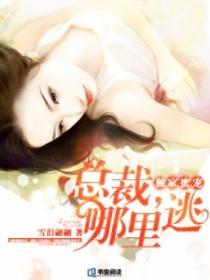 独家蜜宠:总裁,哪里逃